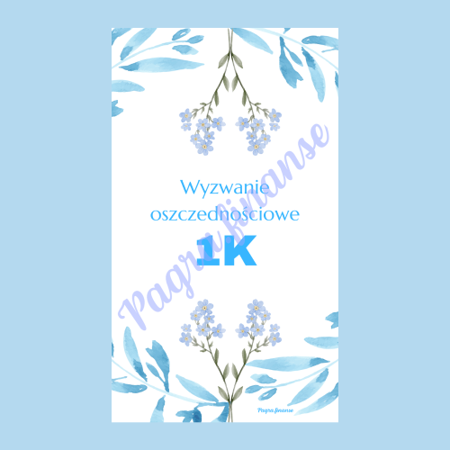 okładka 1k.png