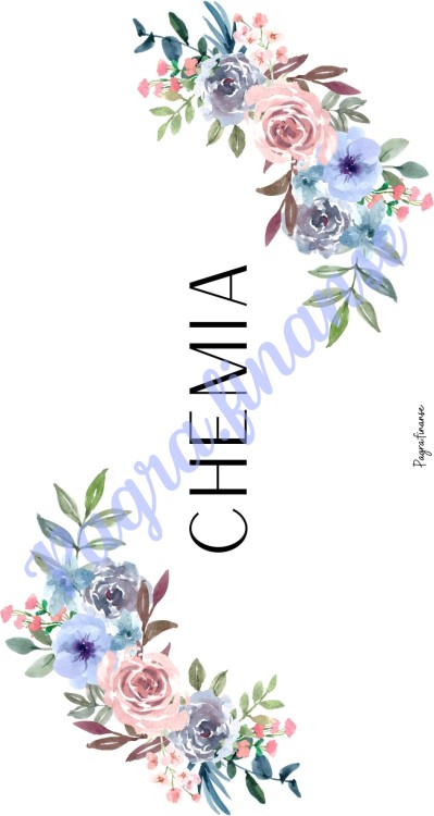 Chemia 2.jpg