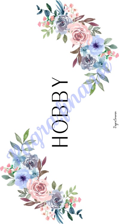 Hobby 2.jpg