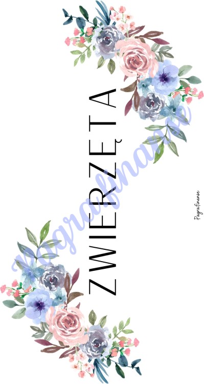 Zwierzęta 2.jpg