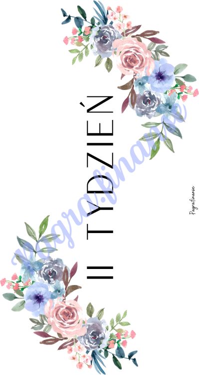 II tydzień.png