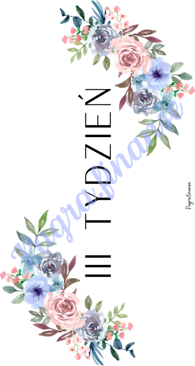 III tydzień.png