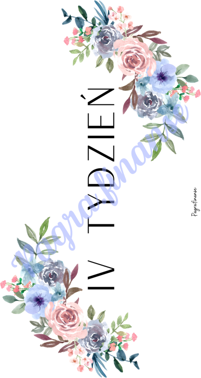 IV tydzień.png