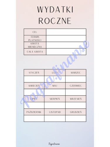 wydatki roczne ombre.jpg